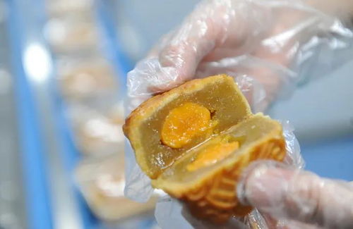 濃濃中秋情，感恩志愿者——愛心企業(yè)慰問市城區(qū)疫情防控志愿者